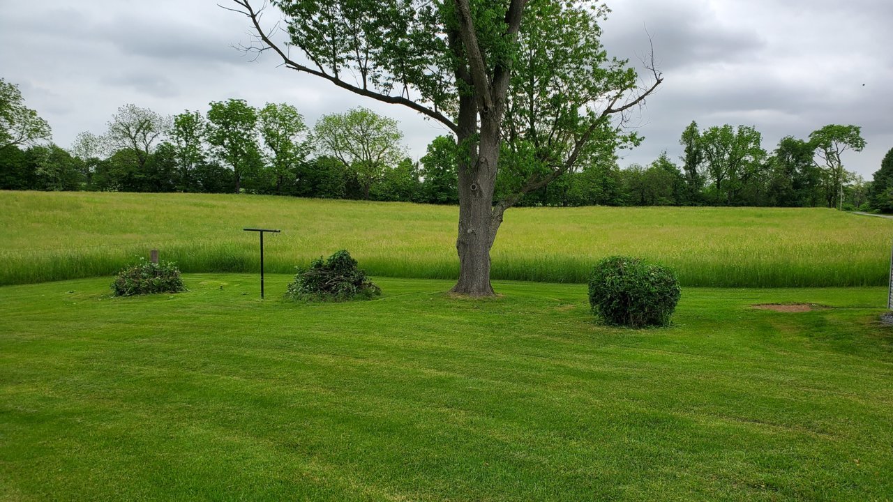 20220524_145158.jpg