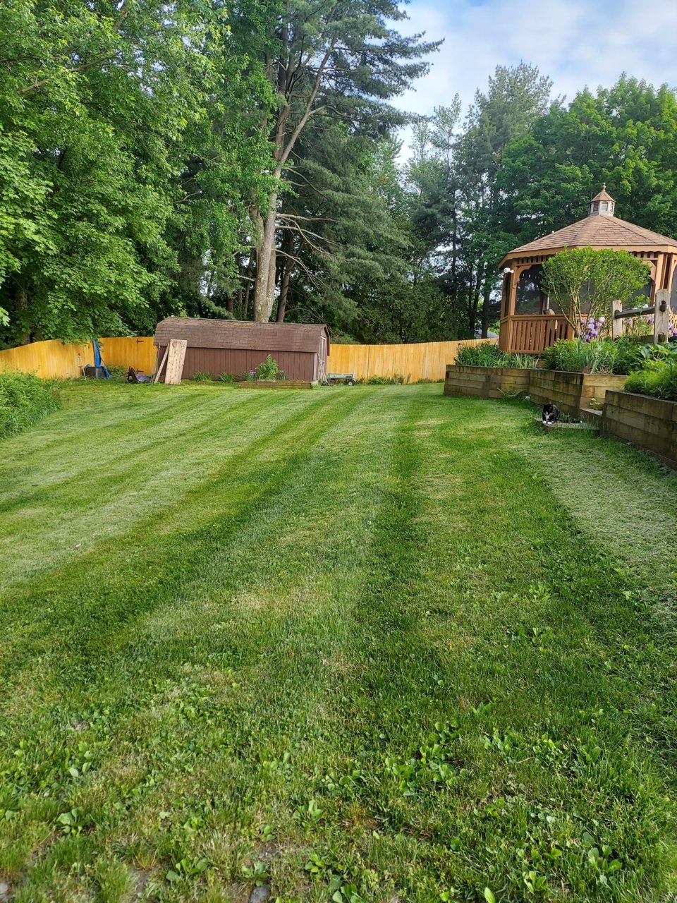 20220524_183104.jpg