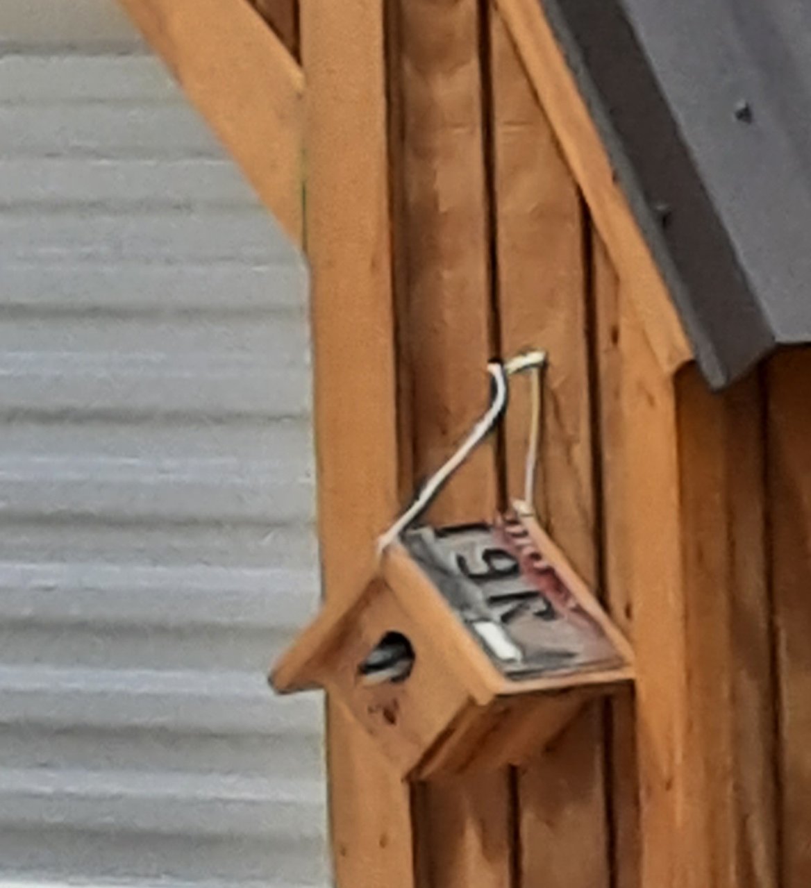 20220525_123241.jpg