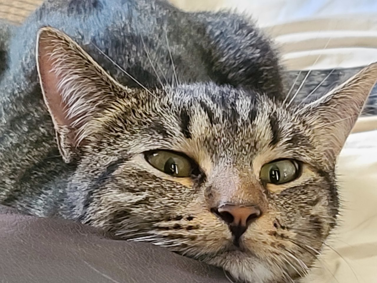 20220525_133647.jpg