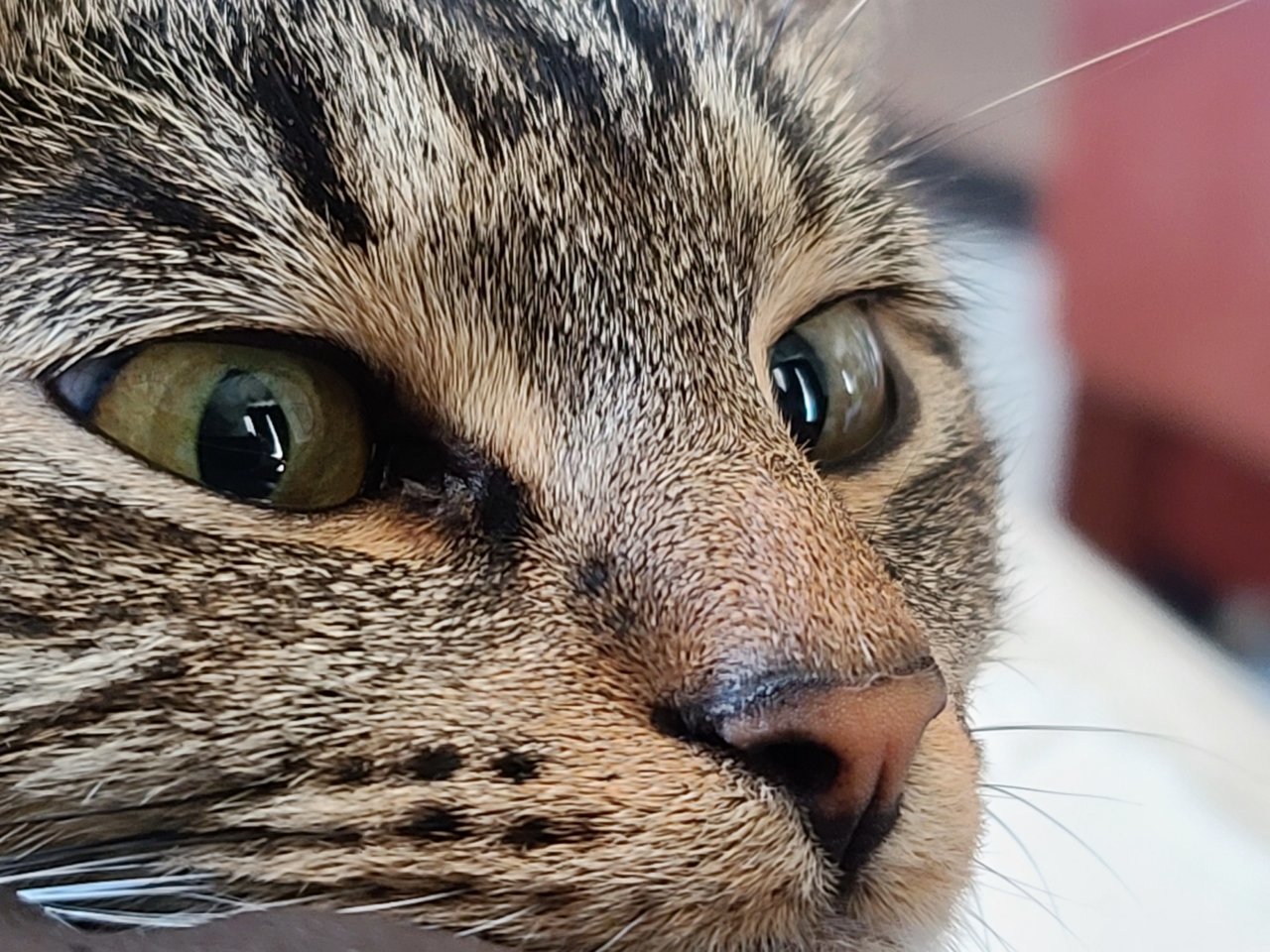 20220525_133725.jpg