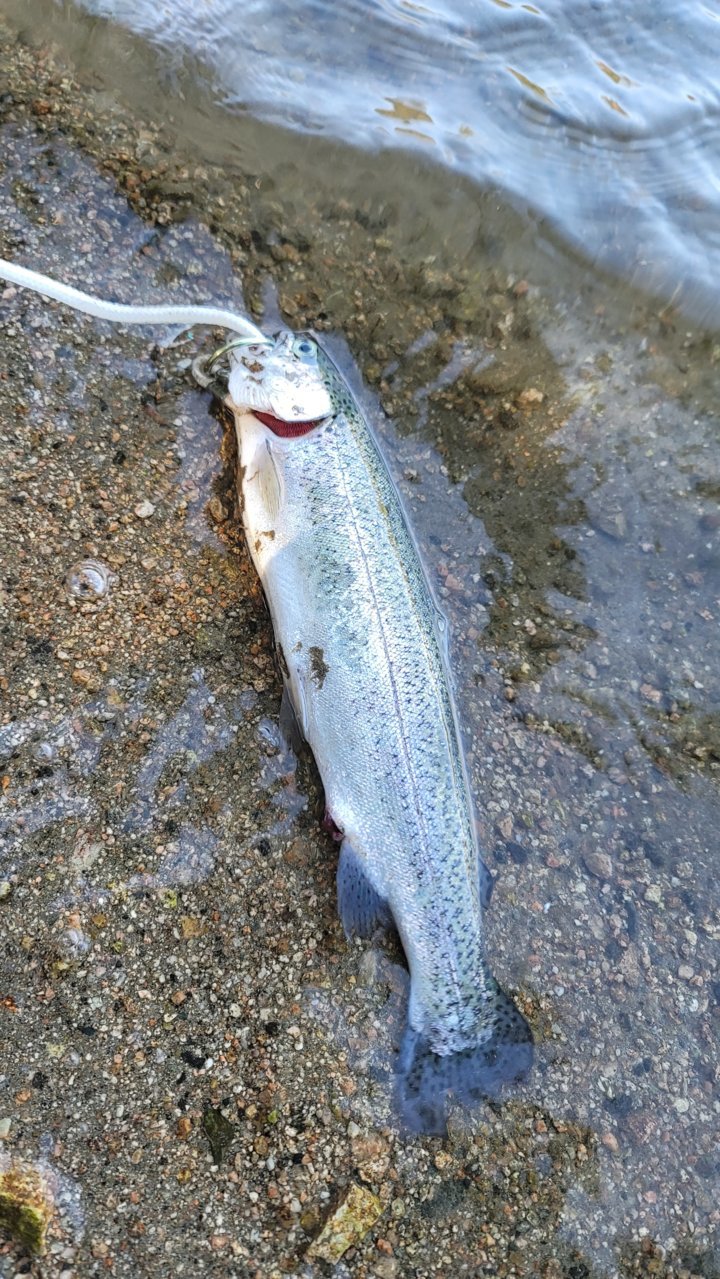 20220527_075309.jpg
