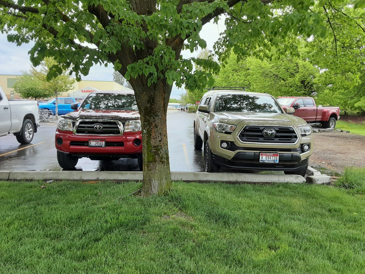 20220527_123554[1].jpg