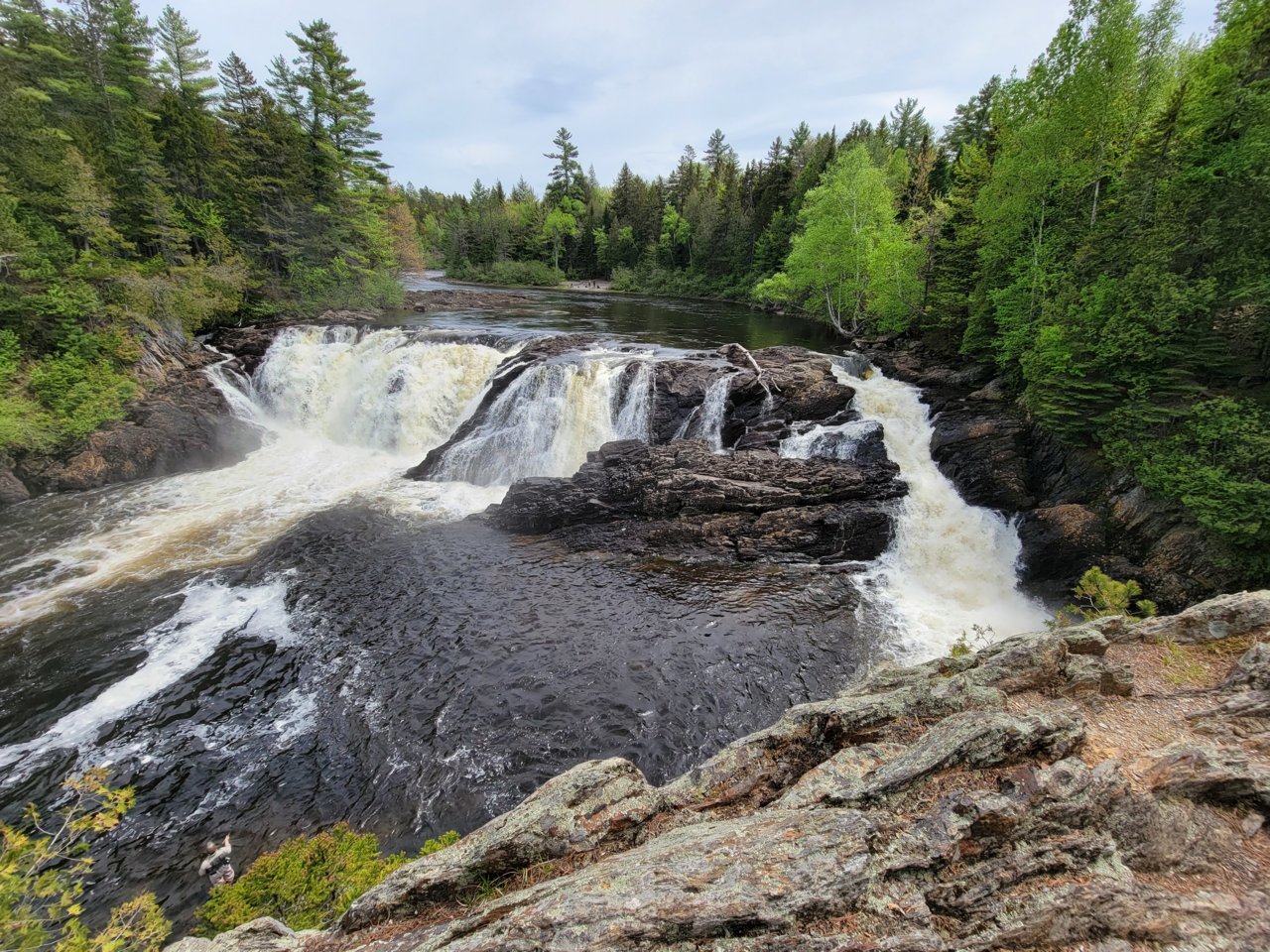 20220527_134937.jpg