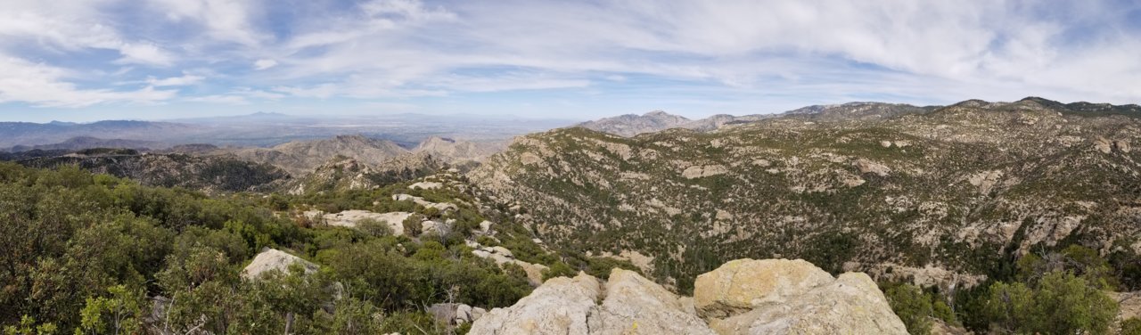 20220528_093254.jpg