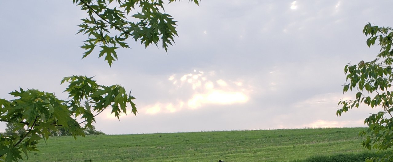 20220530_061704.jpg