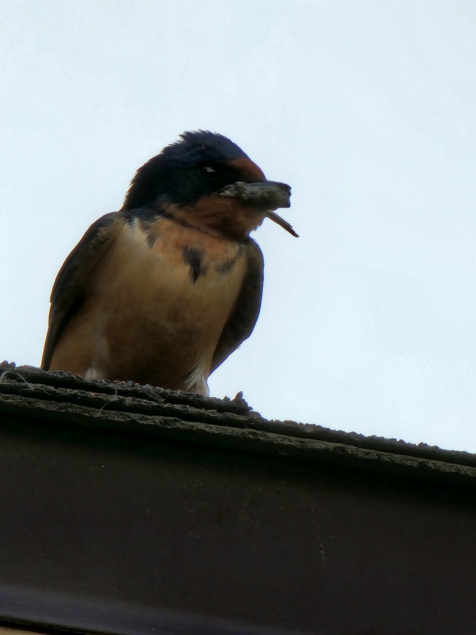 20220530_084736.jpg