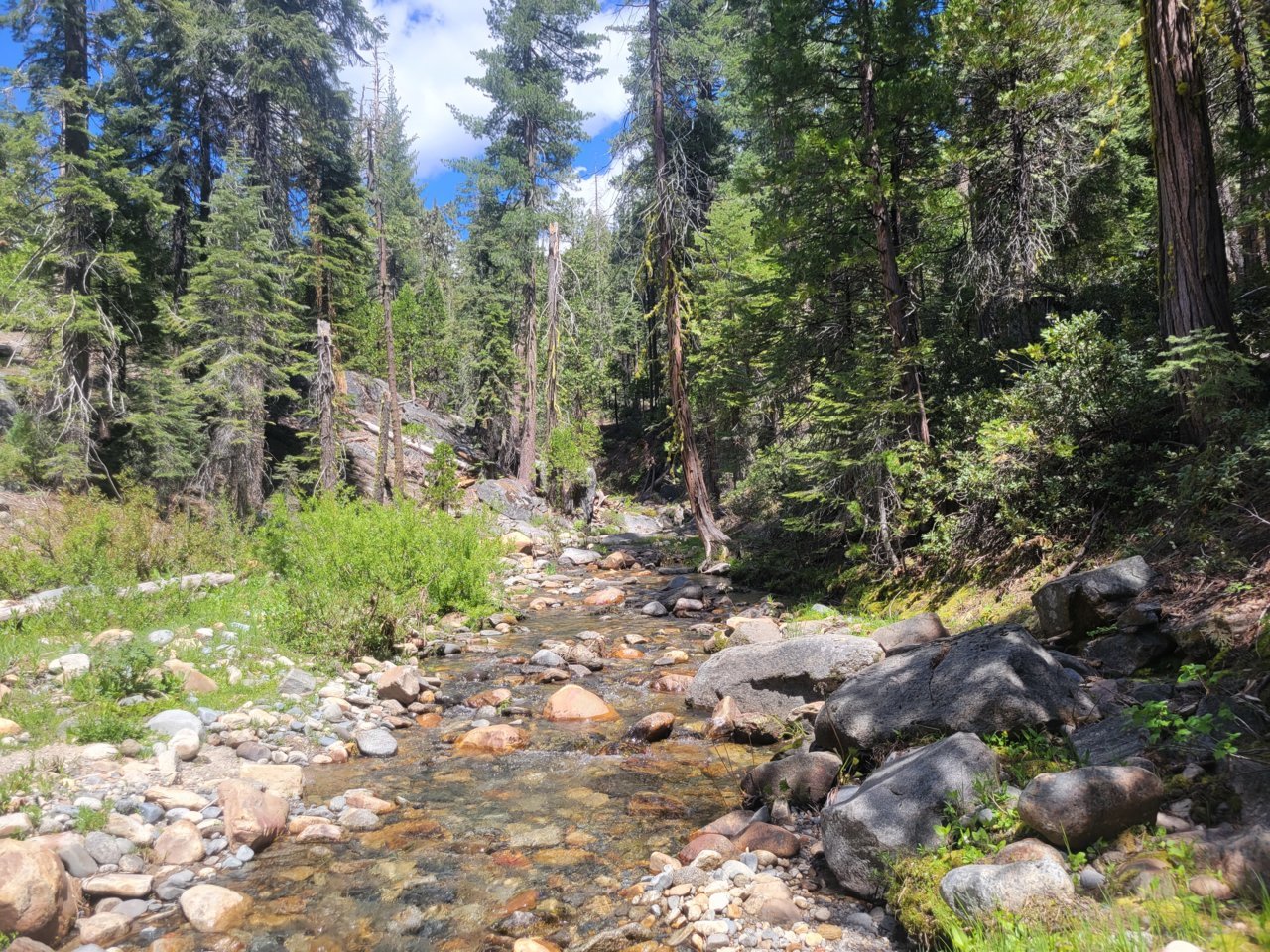 20220530_143501.jpg