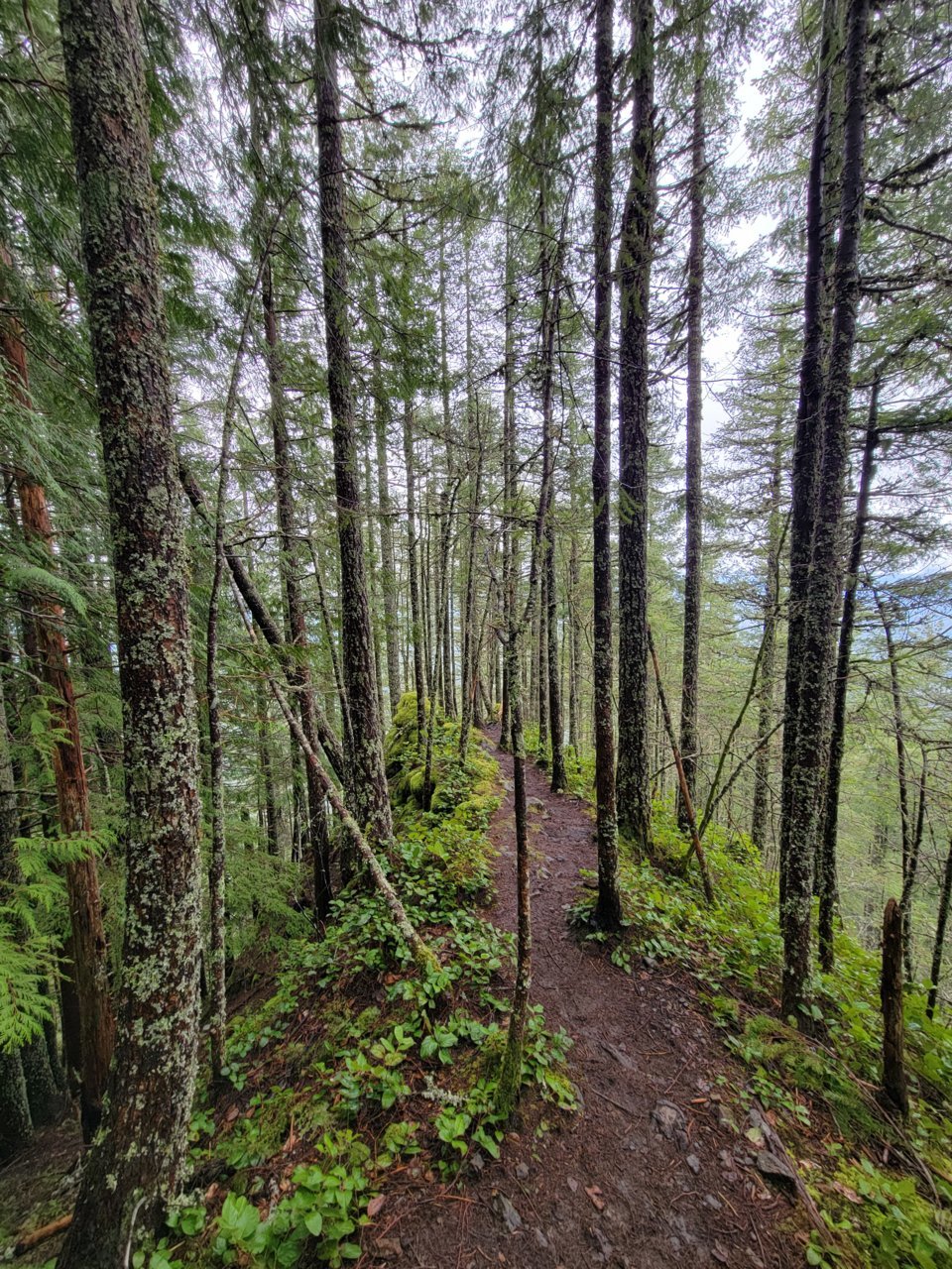 20220530_160553.jpg