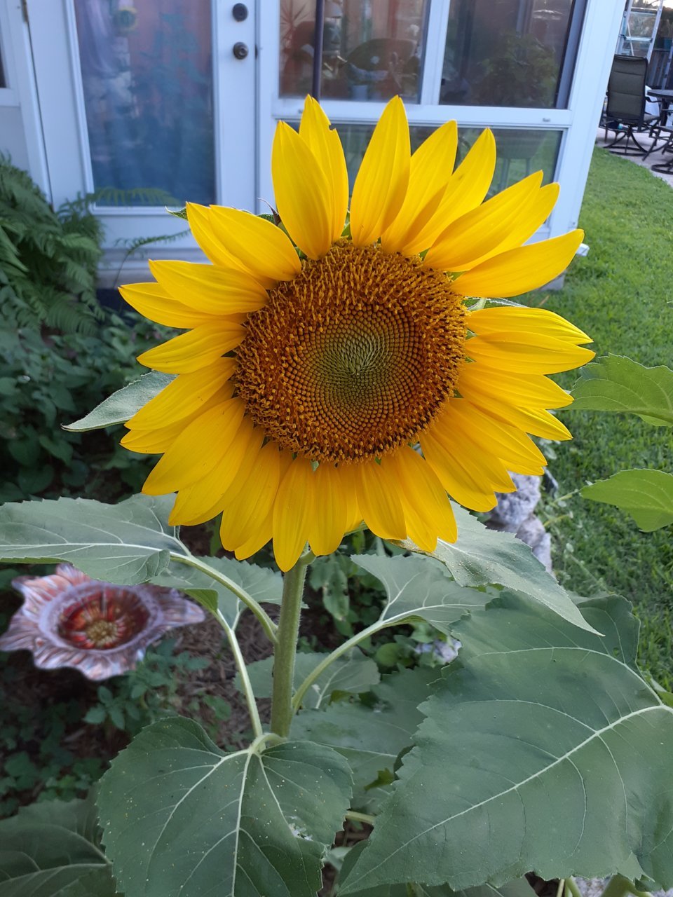 20220530_190523.jpg