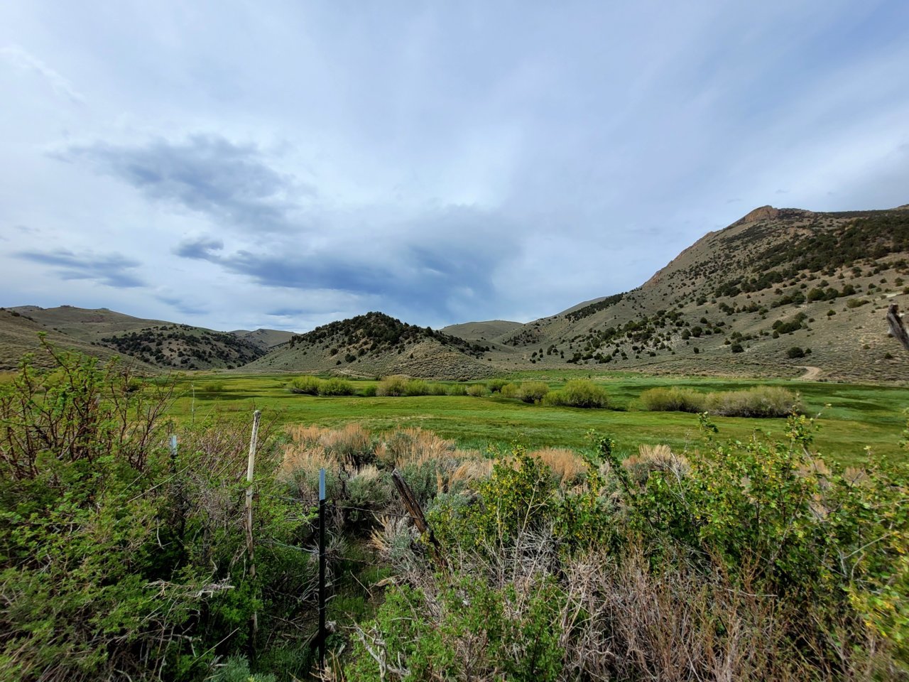 20220602_160335.jpg