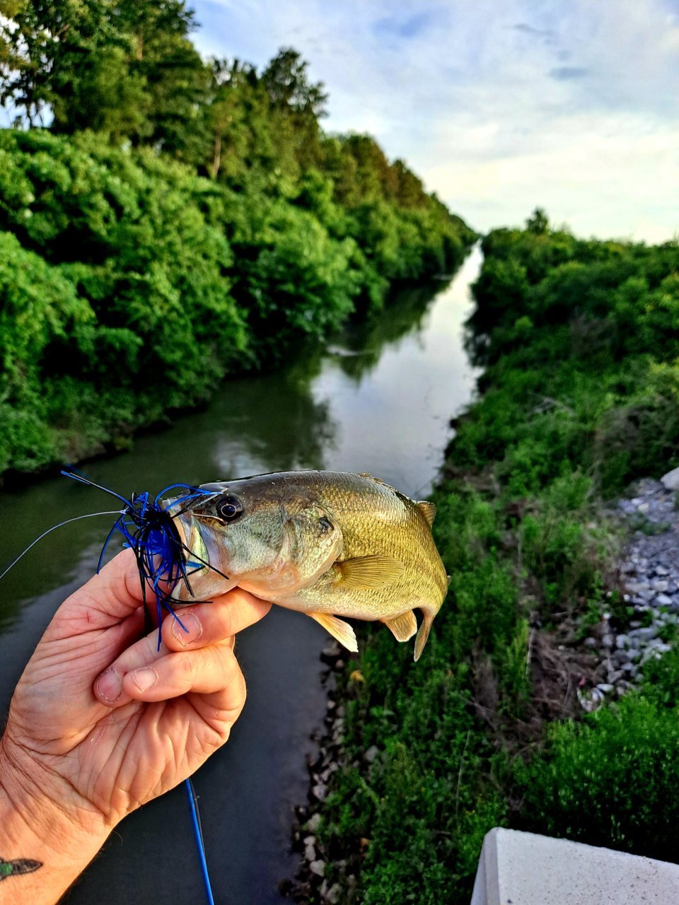 20220602_192219.jpg