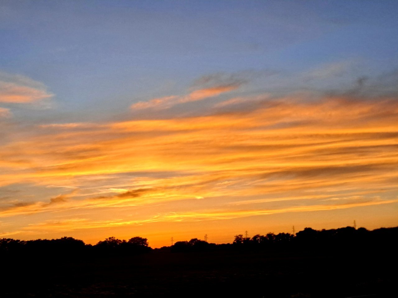 20220602_201642.jpg
