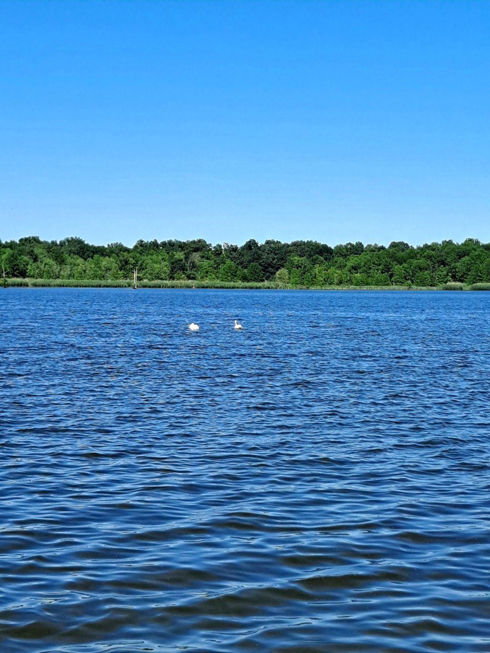 20220603_155438.jpg