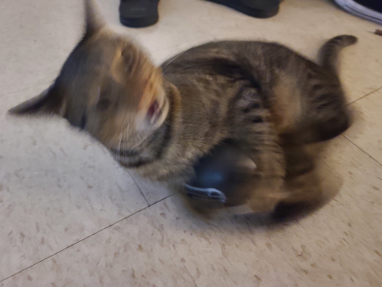 20220607_211843.jpg