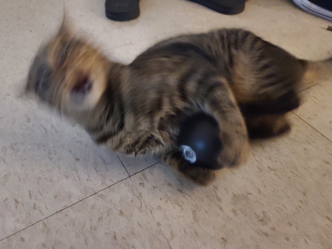 20220607_211844.jpg