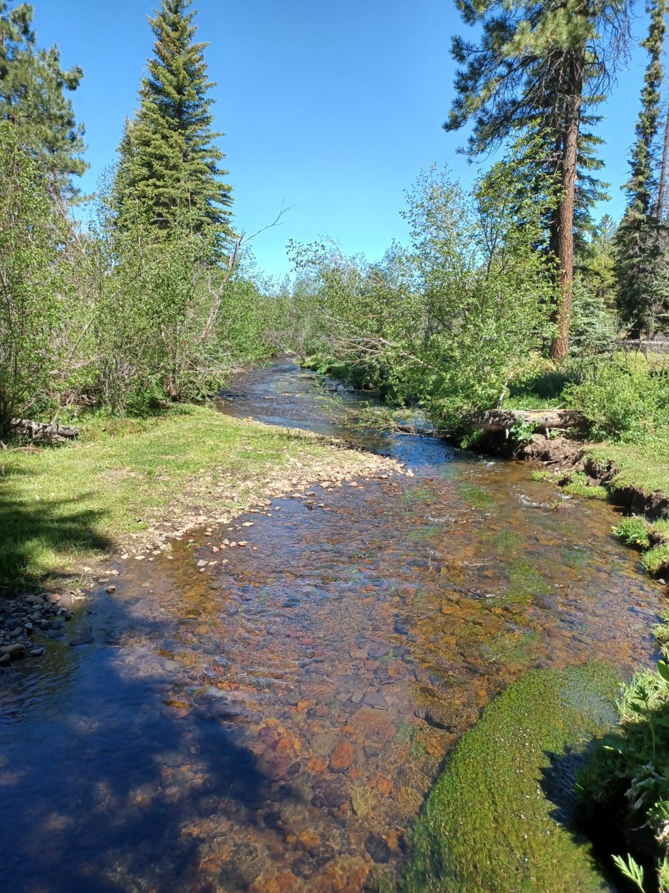 20220608_095542.jpg