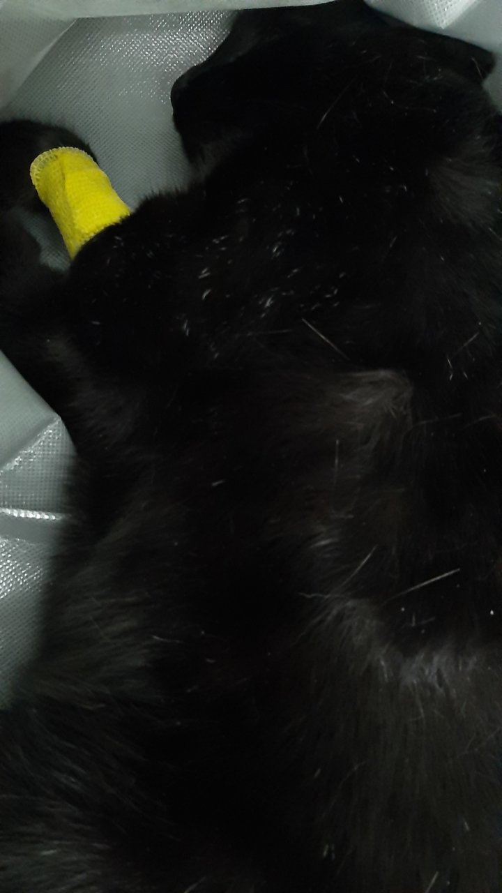 20220608_103842.jpg