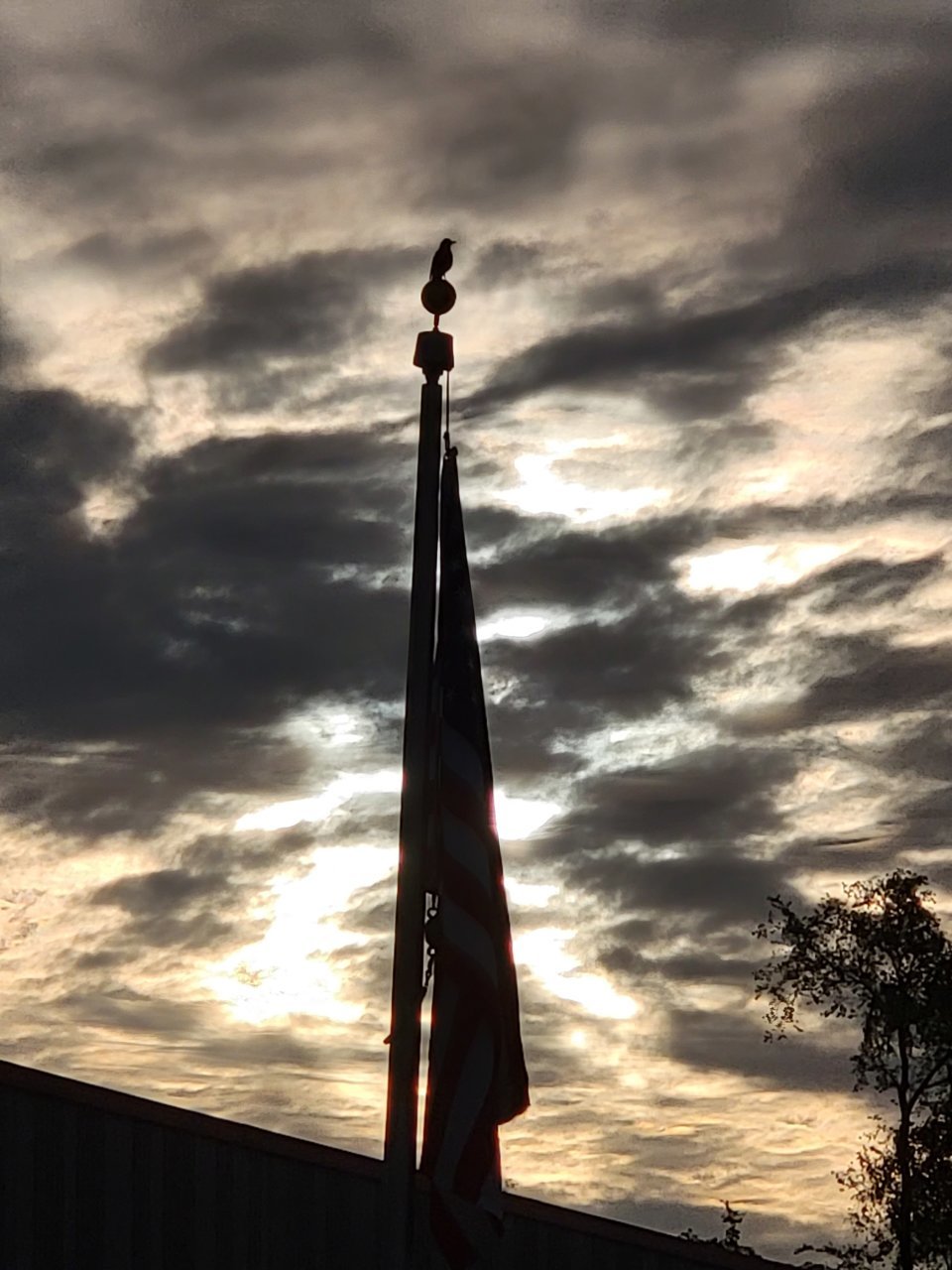 20220609_065013.jpg