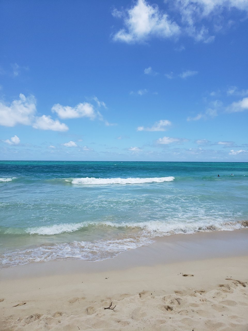 20220611_121608.jpg