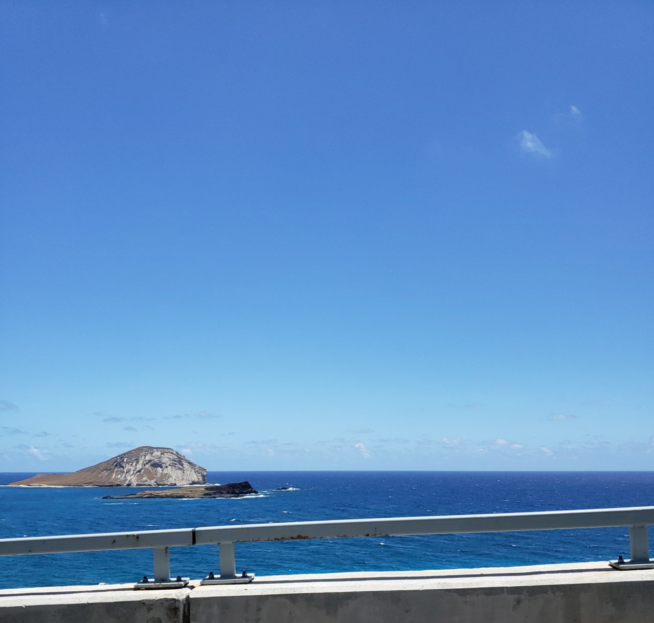 20220611_163842.jpg