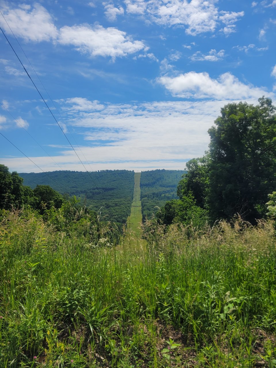 20220612_105524.jpg