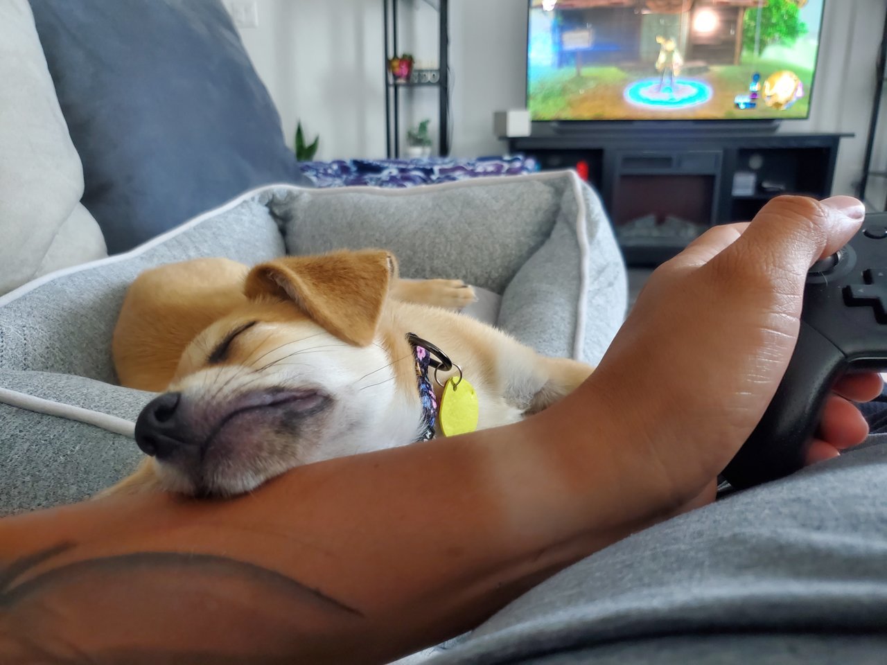 20220612_165759.jpg