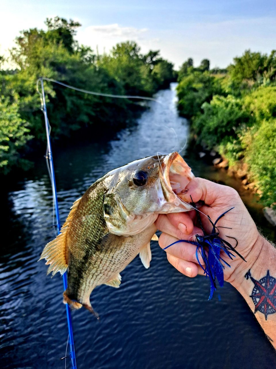20220612_185040.jpg