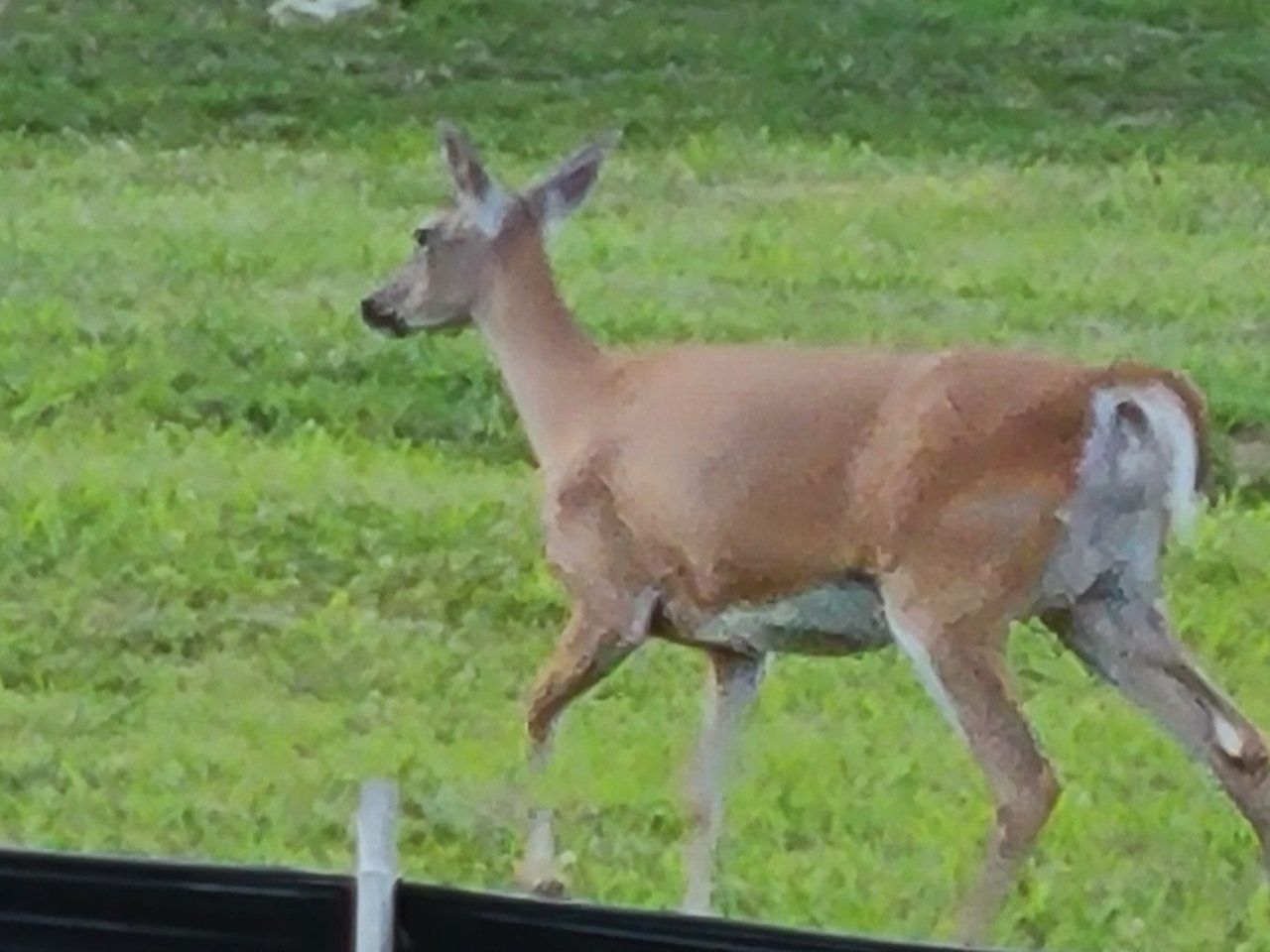20220612_194759.jpg
