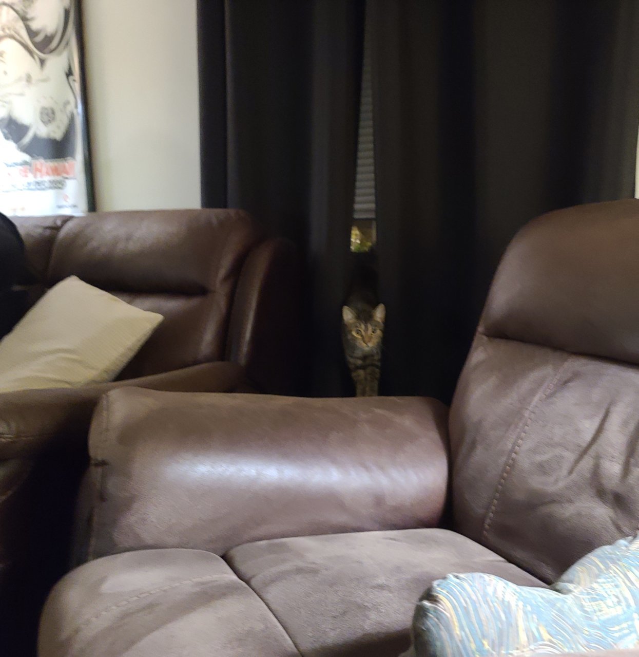 20220612_223233.jpg