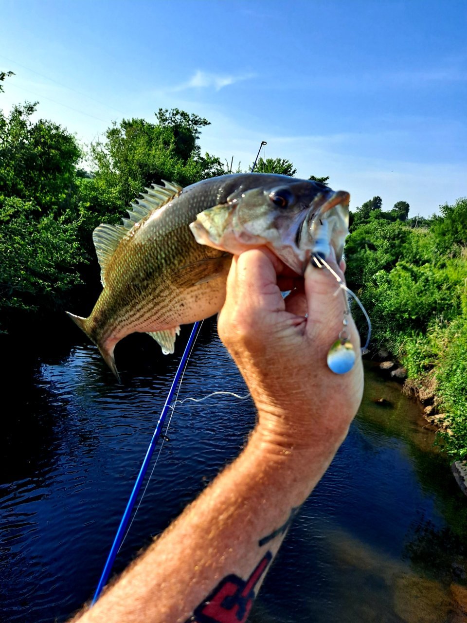 20220613_182625.jpg
