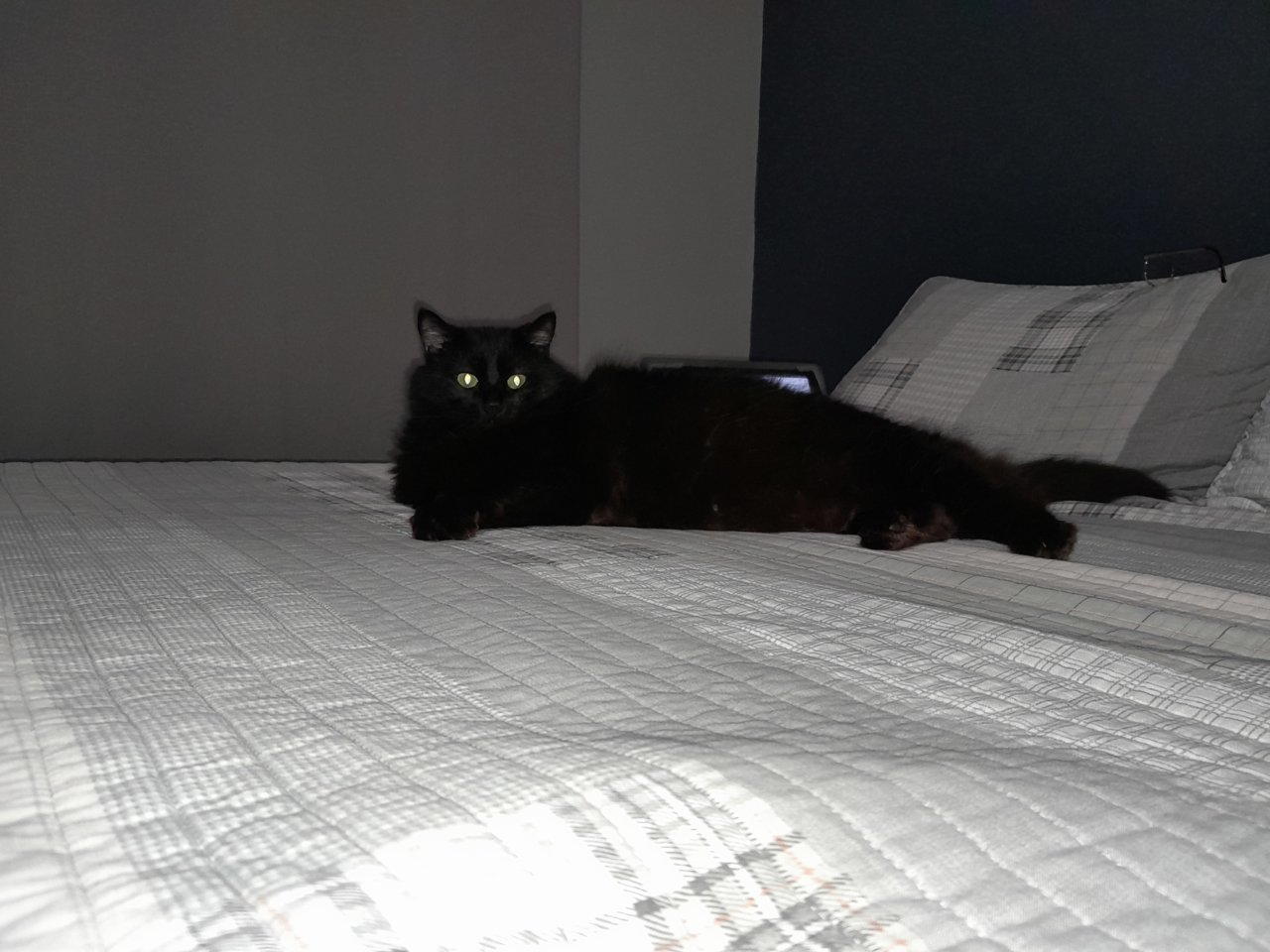 20220614_224149.jpg