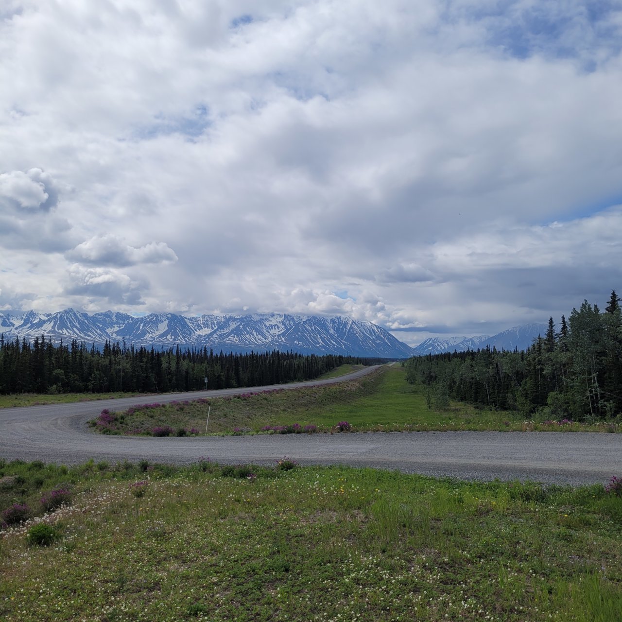 20220615_141344.jpg