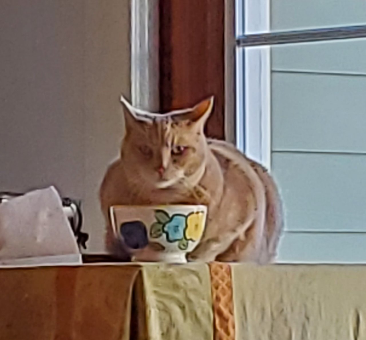 20220615_165512.jpg