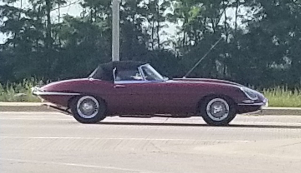20220615_201551.jpg