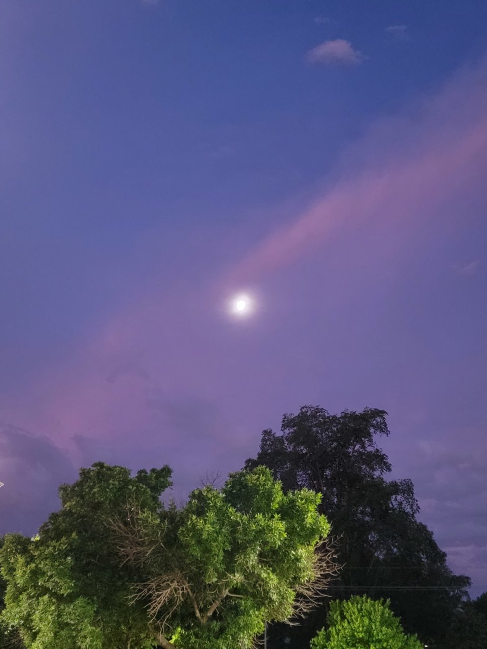 20220617_051142.jpg