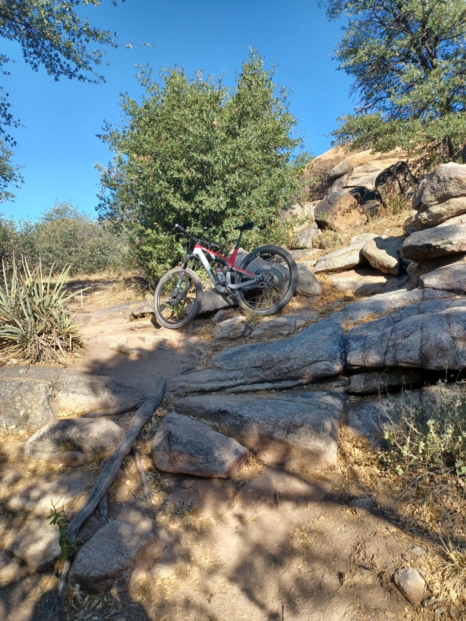 20220617_075558.jpg