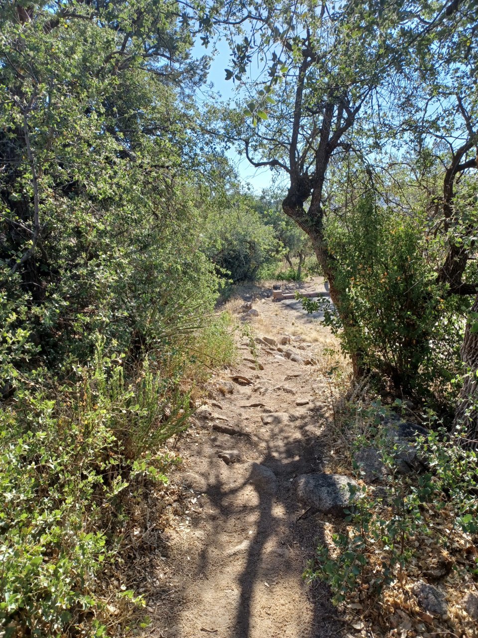 20220617_075604.jpg
