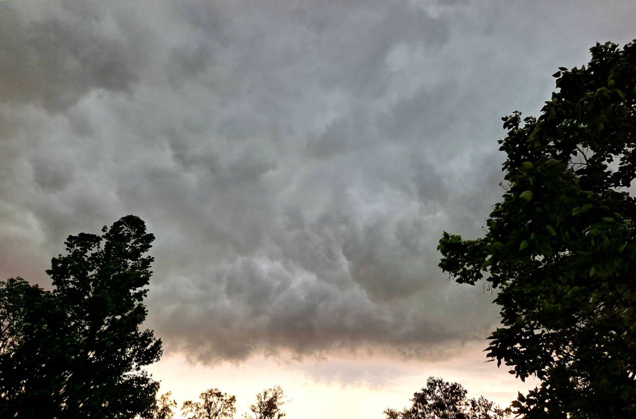 20220617_080102.jpg