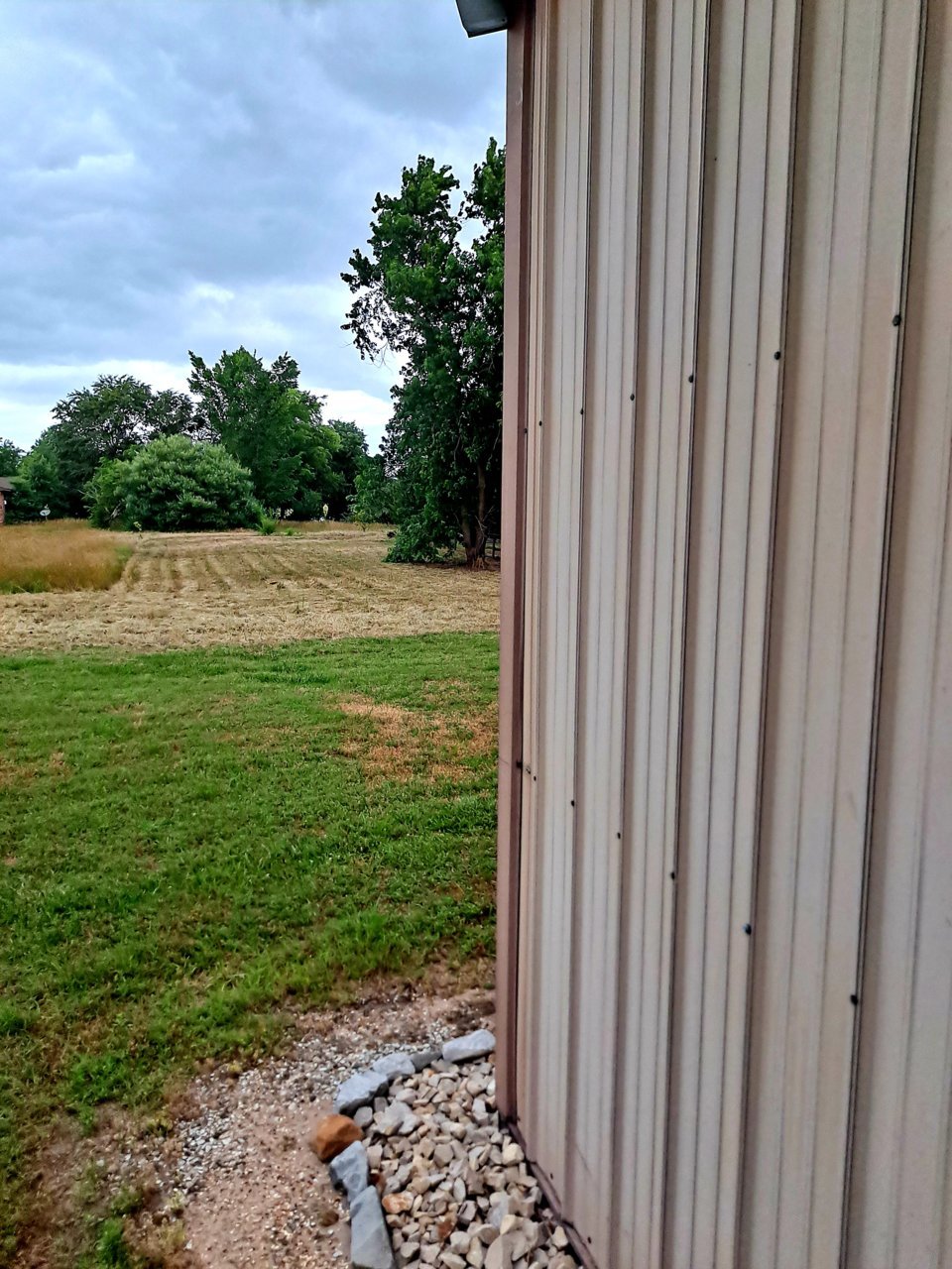20220617_080155.jpg