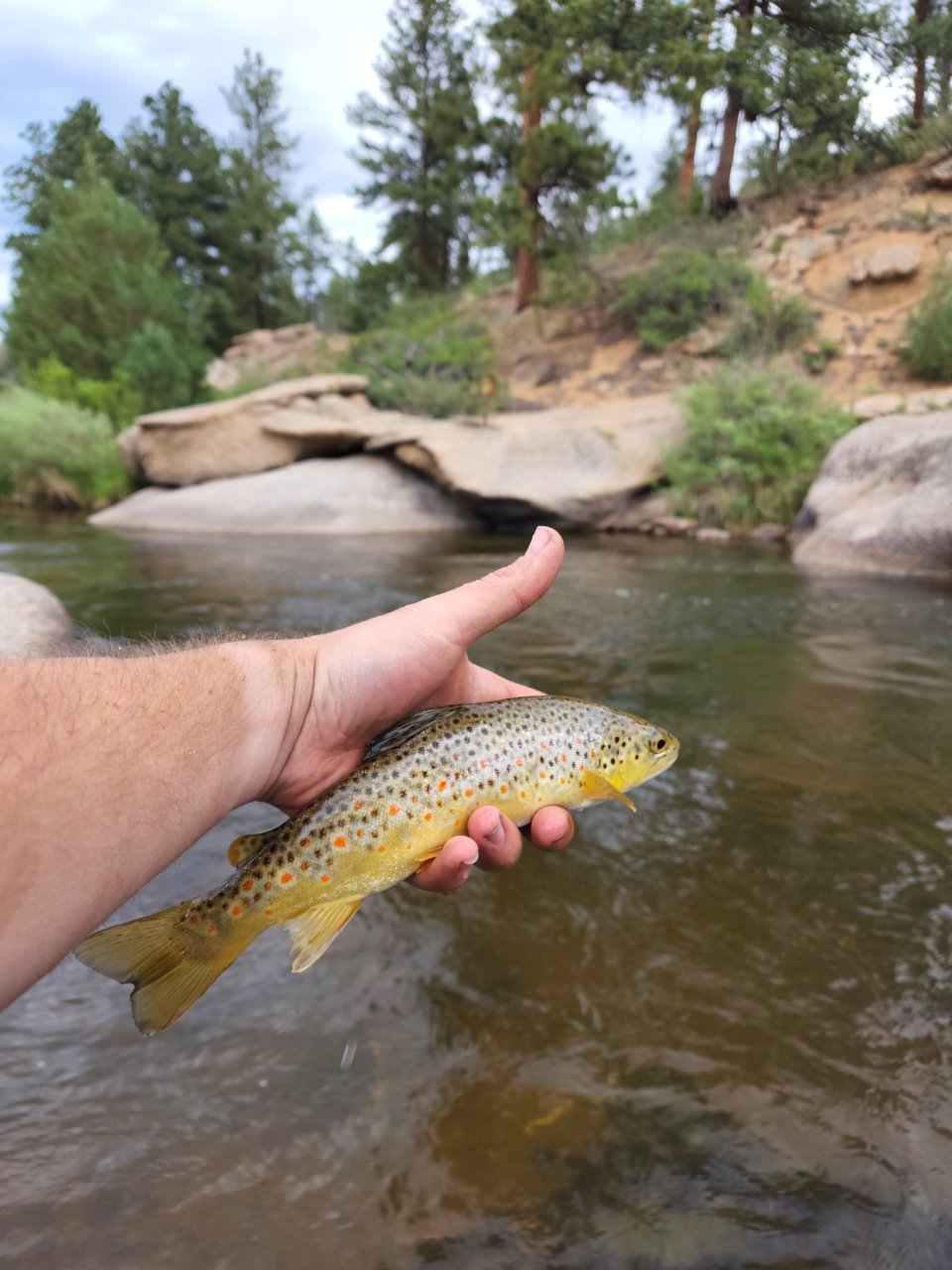 20220618_081455.jpg