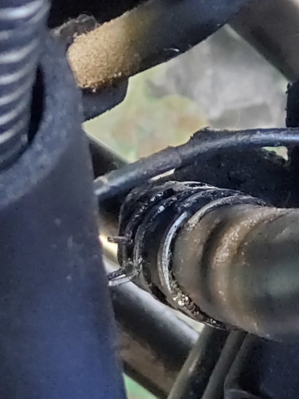 20220618_085105.jpg