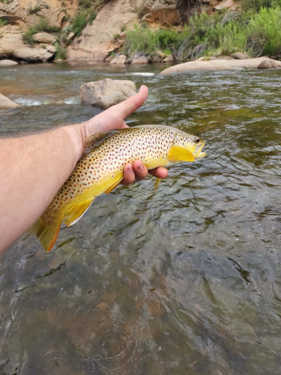 20220618_085555.jpg