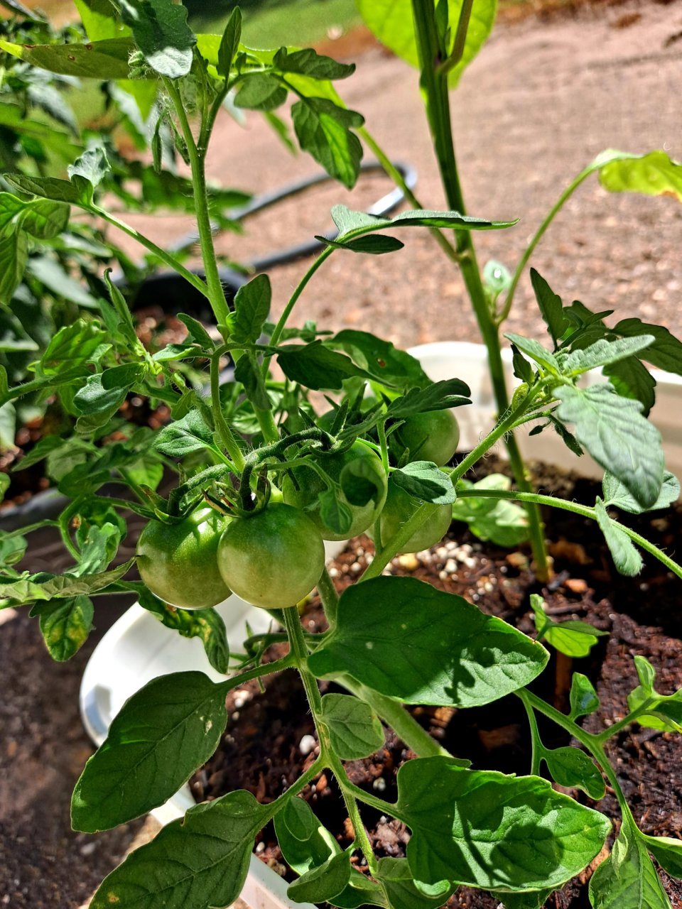 20220618_093713.jpg