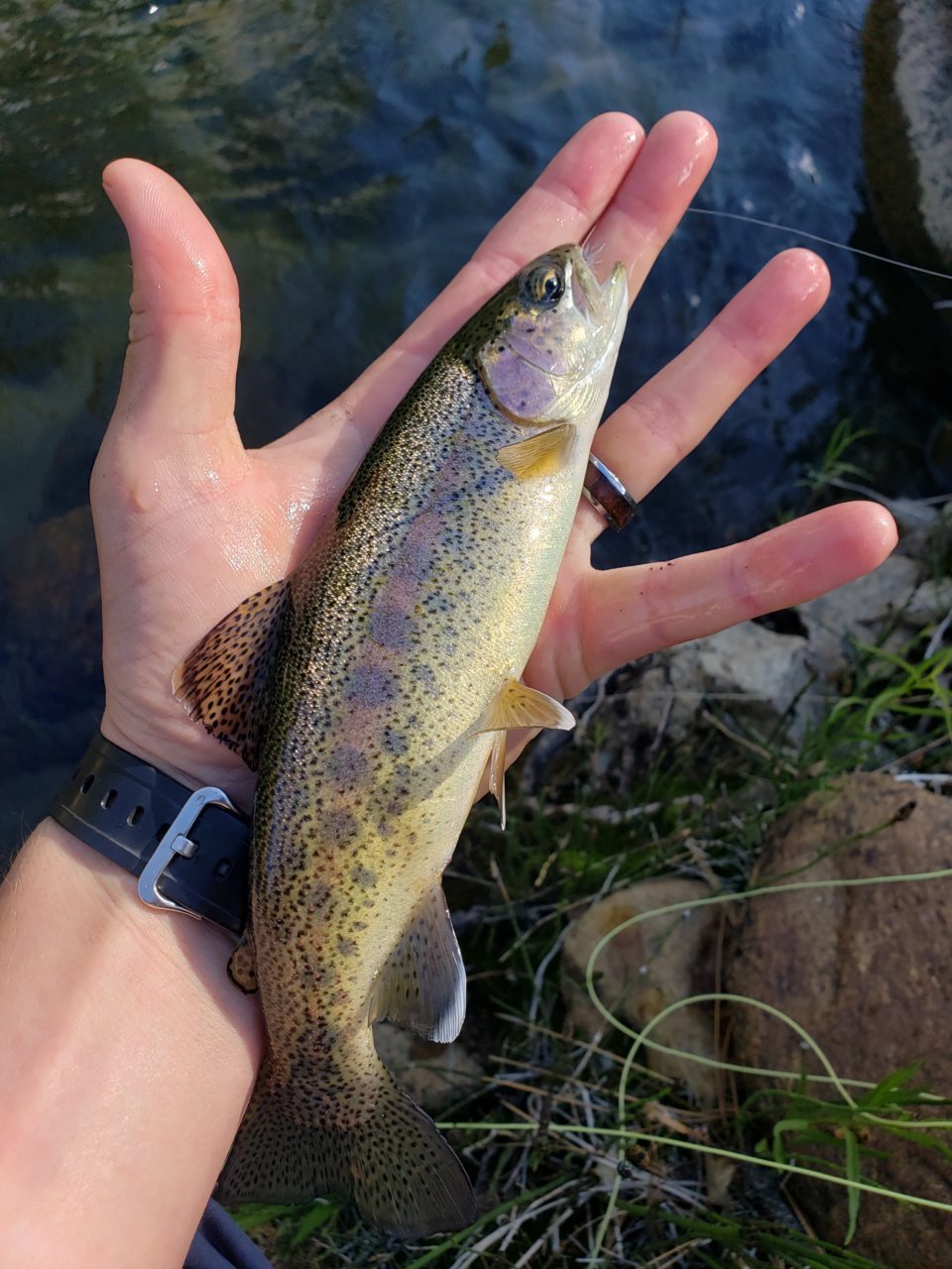 20220618_165920.jpg