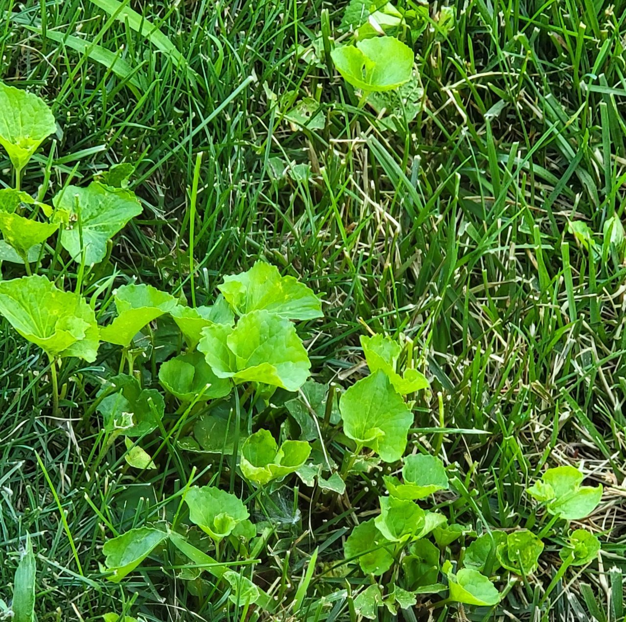 20220620_085545.jpg
