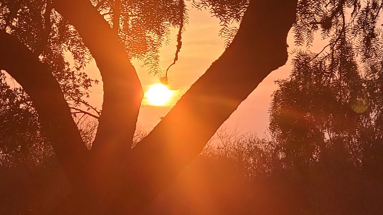 20220621_065253.jpg