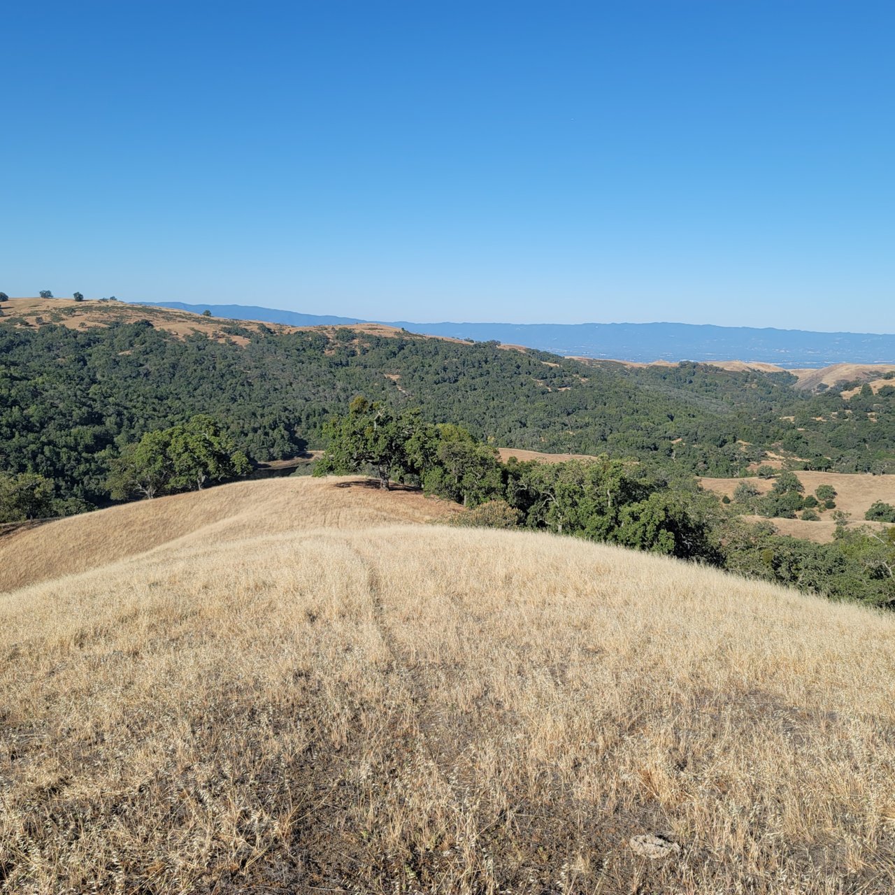 20220621_080857.jpg