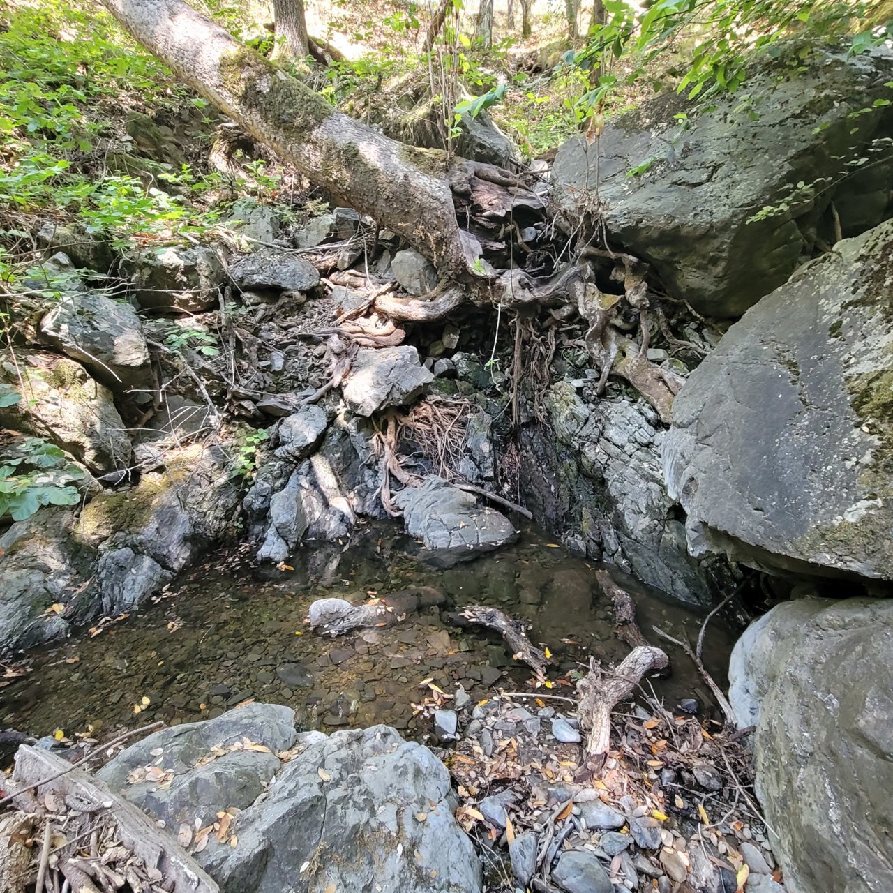 20220621_102856.jpg