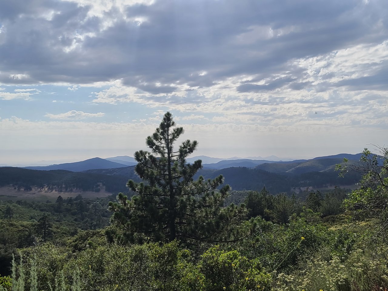 20220621_171752.jpg